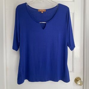 Cobalt blue blouse by Allen Tracy with silver metallic detail size large
